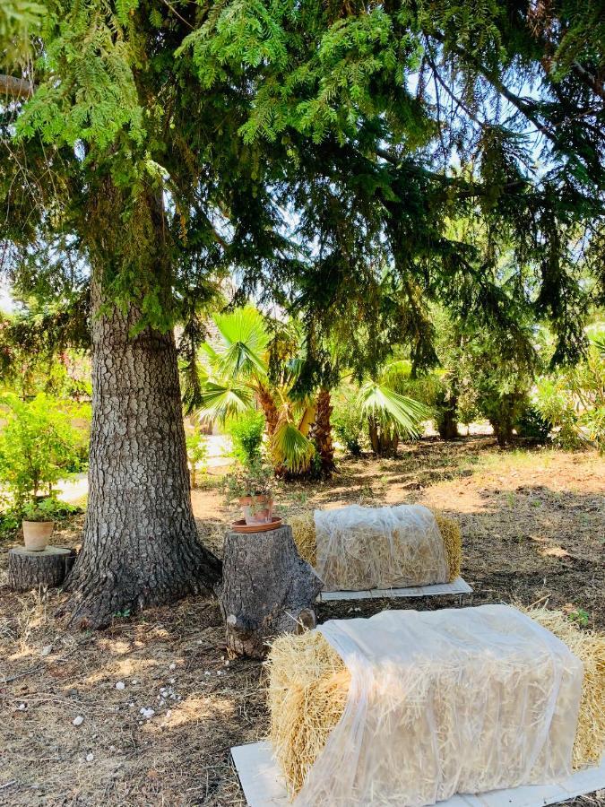 Trulli Pietra Viva Villa Alberobello Bagian luar foto